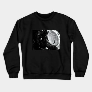 eclipse dragon Crewneck Sweatshirt